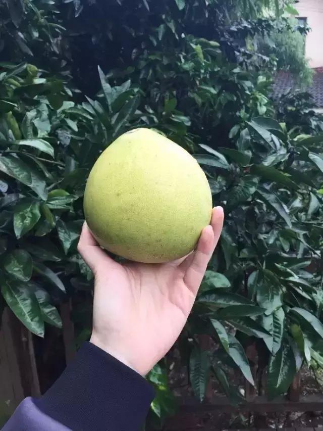 90后小伙花100万造房子,90后小伙花几千元装修500个平方