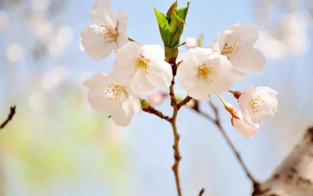 喜报！阳信县企业入选山东省第四批知名农产品企业产品品牌名单！