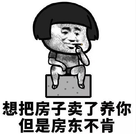 2024年网络流行词语,低调炫耀网络流行词语