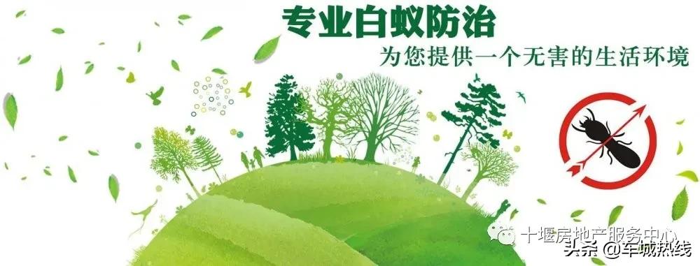 武汉室内白蚁防治方法,十堰市白蚁防治电话