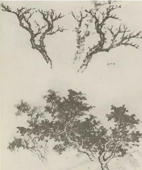 怎么画树最简单而且还最好看,怎么画树才更真实