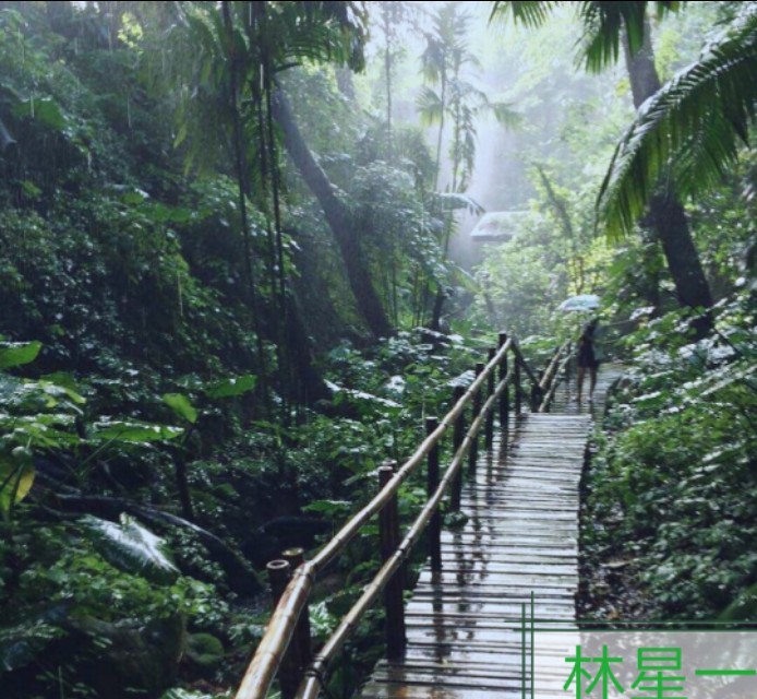 深圳世界公园景点,深圳青青世界景点地址查询