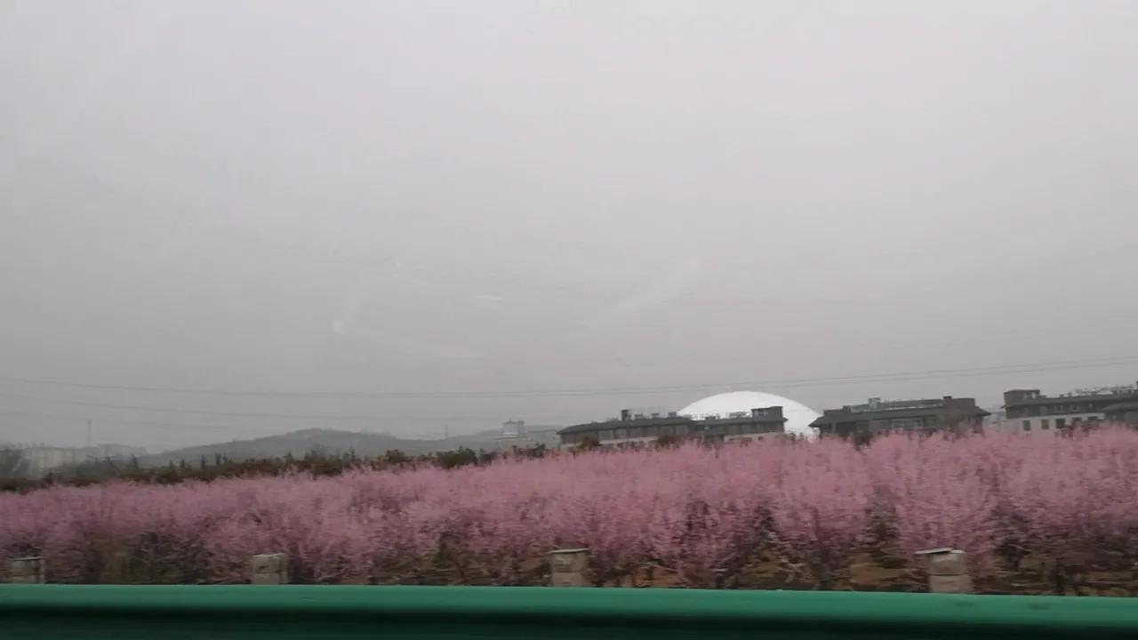 嵩山少林寺旅游攻略一日游,春季嵩山少林寺景区一日游