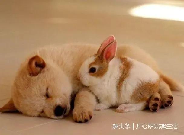 宝宝频繁夜奶令人抓狂,宝宝频繁夜醒妈妈崩溃的心情