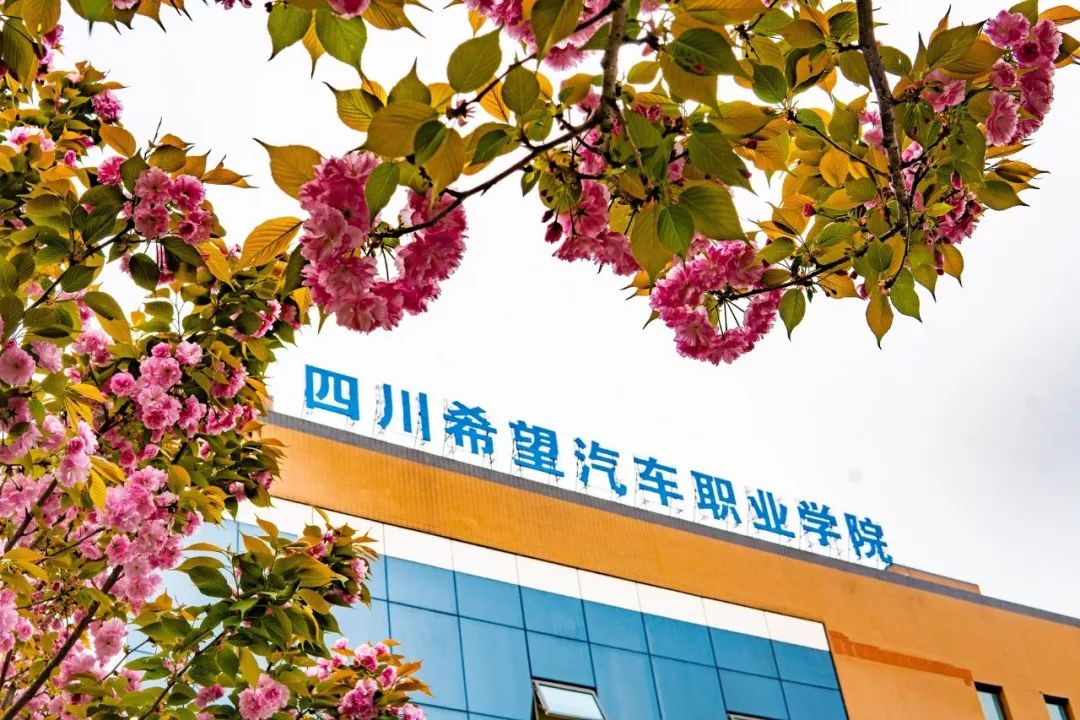 新媒体工作室“媒”你不行，请23日到指点地点对接暗号