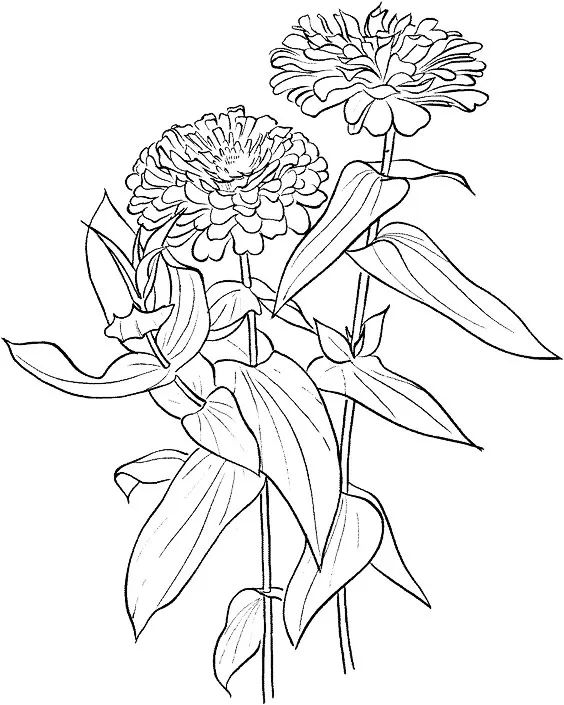 画画入门教程干货博主,基础入门画画必知