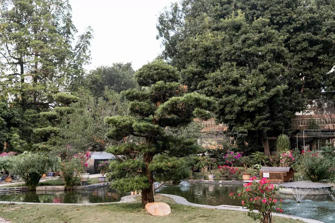 深圳大学游玩攻略一日游,深圳大学打卡攻略