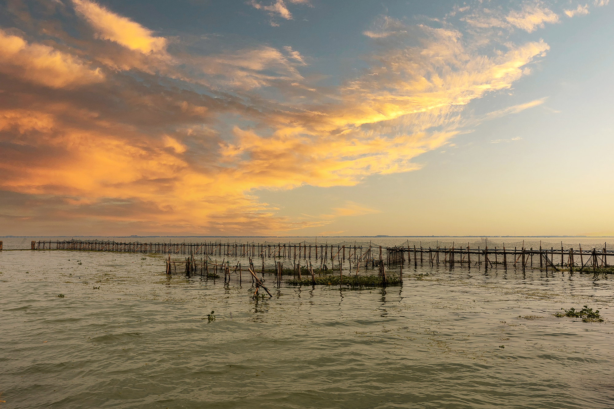 苏州澄湖国际慢城订票,苏州澄湖国际慢城团购