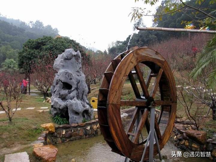 郑智担任国家队主教练,郑智主教练身份