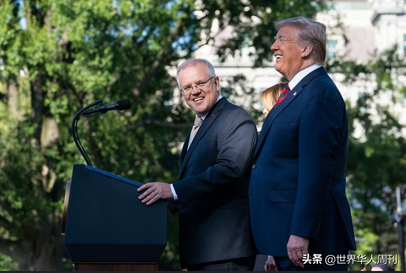 澳洲奶粉为什么不涨,国内卖的澳洲奶粉