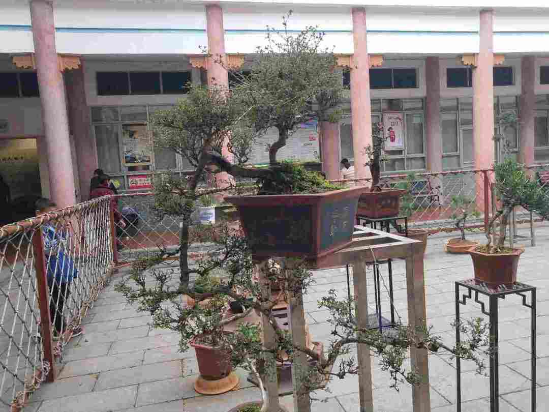 情知不久须相见，一日甚三秋，愁来不自由。‖马坝人遗址公园