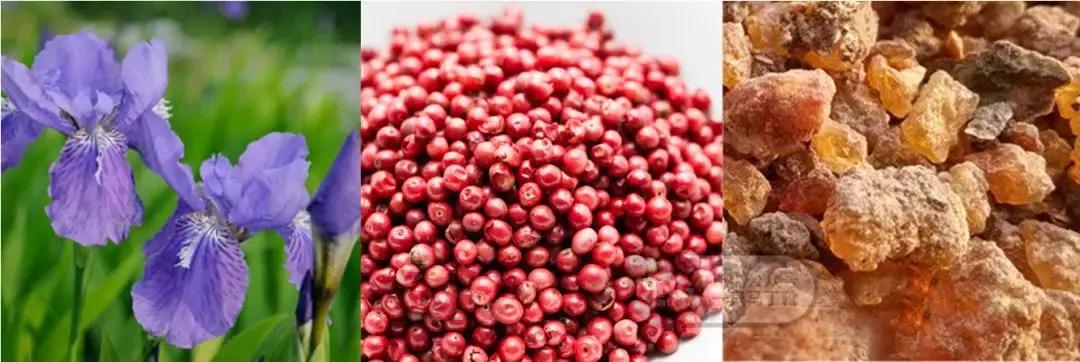 香水搭配的基本知识,香水潮流搭配