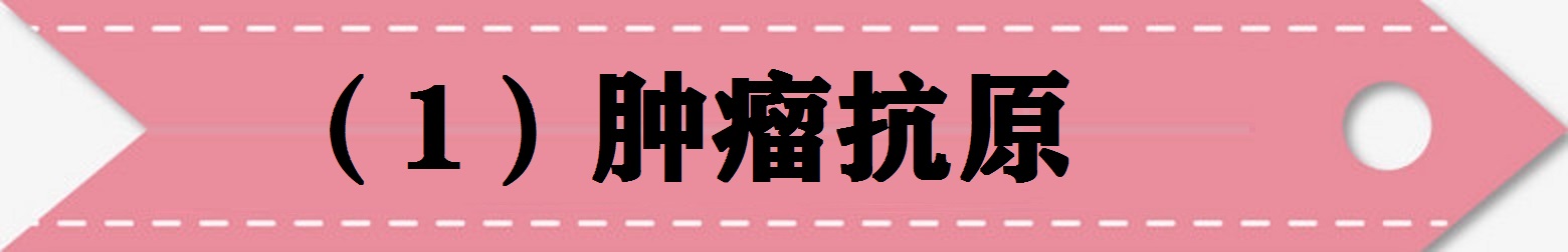 肿瘤免疫治疗的故事连载二十四,肿瘤免疫治疗的故事