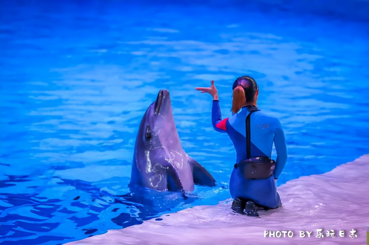 来珠海亲子必打卡景点，人工飘雪海洋动物表演，最适合周末亲子游