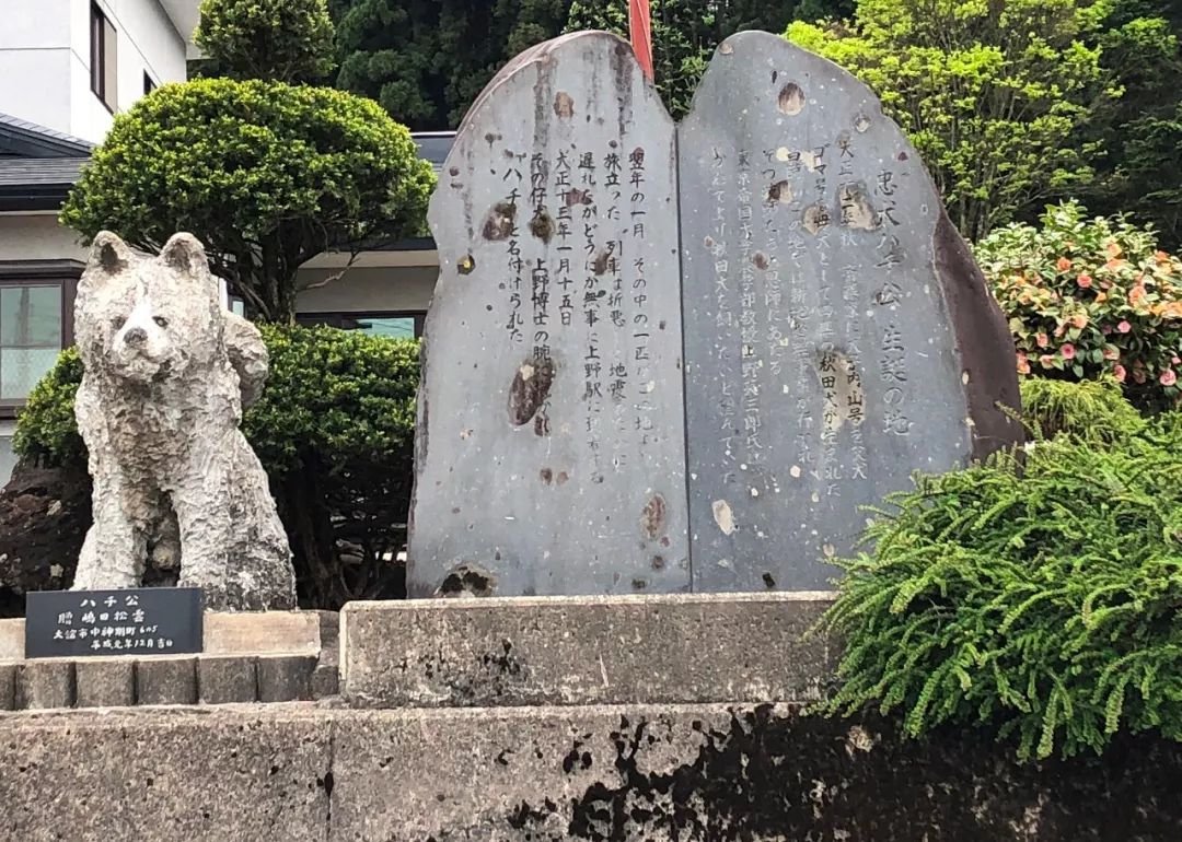 她是日本平安时代第一美人，家乡的火车和大米都以她的名字命名