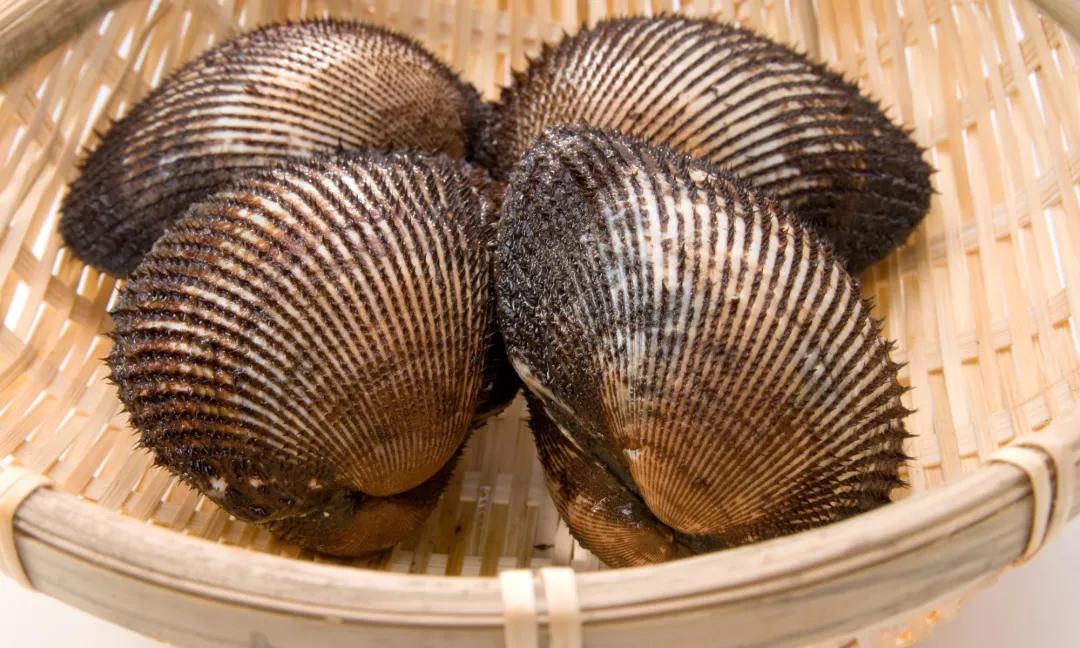 蚬子蛏子蛤蜊什么区别,长条的蛤蜊蛏子叫什么