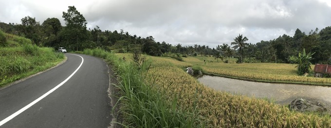 在乌布打个盹然后去吉利岛撒欢