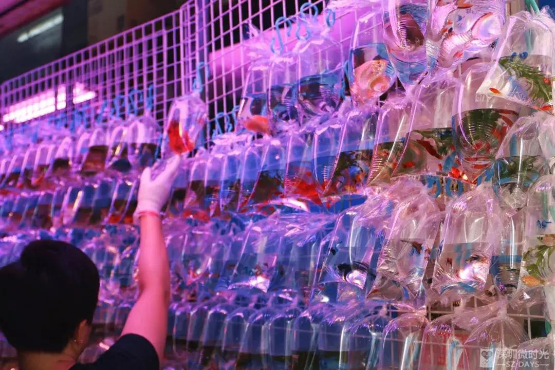 香港小众地点大全,香港最好逛的地方