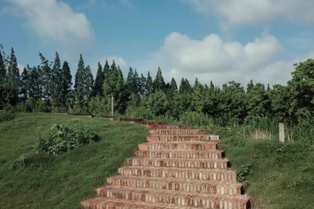 农村新型果园6亩赚钱方式,果园农场怎么赚钱