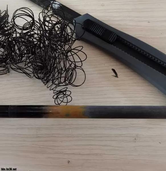 摩羊工坊|春满江湖泡钩钩，巧遇钓友改手把