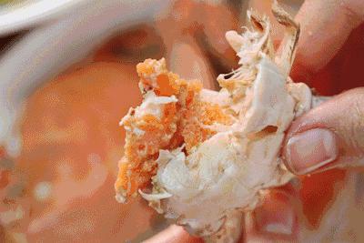 禁渔期能够吃到海鲜吗,禁渔期的海鲜从哪里来的