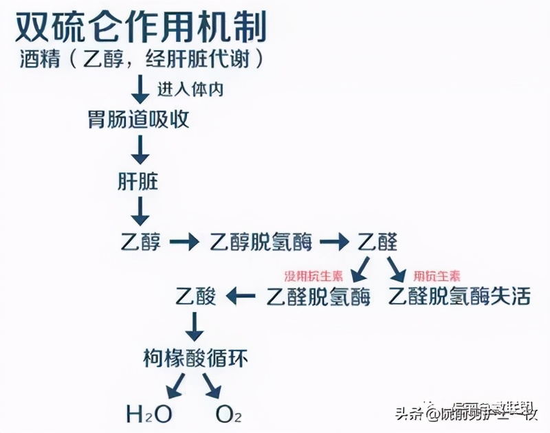 饮酒后多久可以使用头孢类药物,饮酒后几天可以用头孢类药物