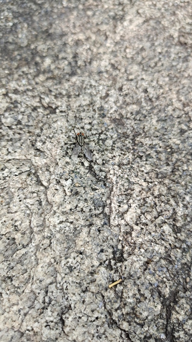 <html>
<head><title>502BadGateway</title></head>
<body>
<center><h1>502BadGateway</h1></center>
<hr><center>nginx</center>
</body>
</html>
<!--apaddingtodisableMSIEandChromefriendlyerrorpage-->
<!--apaddingtodisableMSIEandChromefriendlyerrorpage-->
<!--apaddingtodisableMSIEandChromefriendlyerrorpage-->
<!--apaddingtodisableMSIEandChromefriendlyerrorpage-->
<!--apaddingtodisableMSIEandChromefriendlyerrorpage-->
<!--apaddingtodisableMSIEandChromefriendlyerrorpage-->
