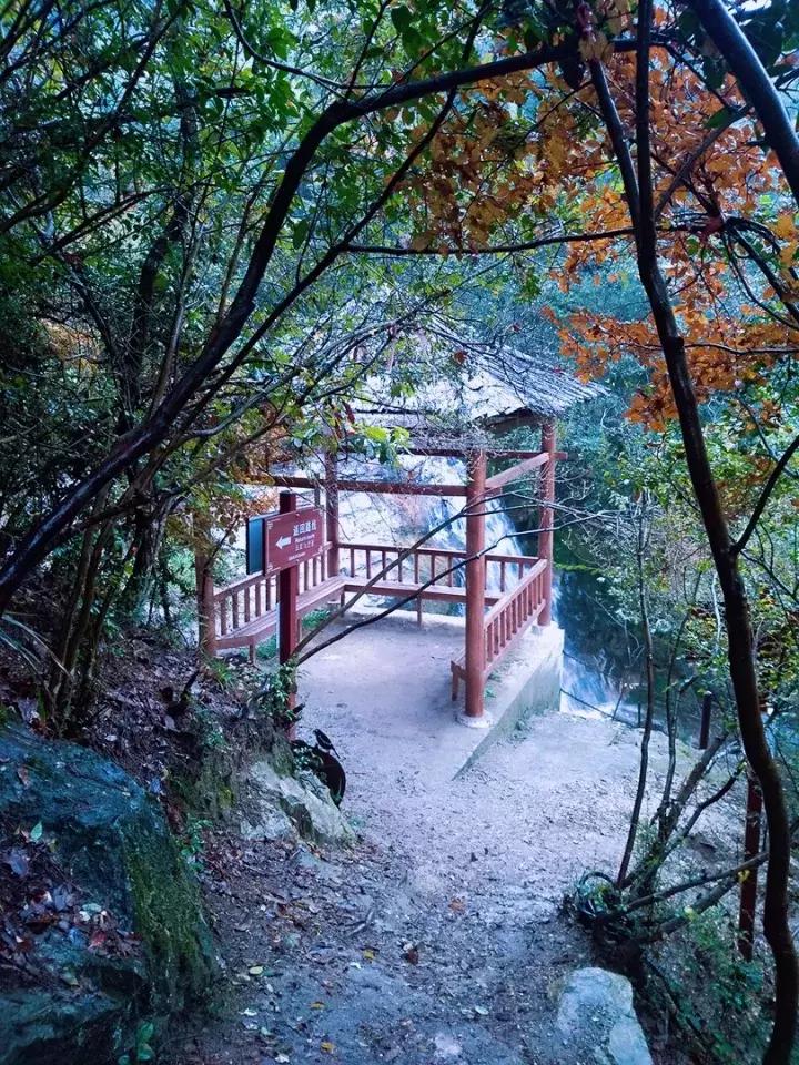 平江碧龙峡景区值得去玩吗,平江碧龙峡全长多少公里