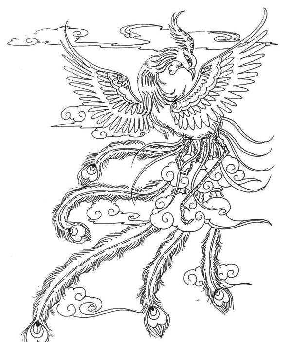 怎样画一个凤凰,怎么画个凤凰