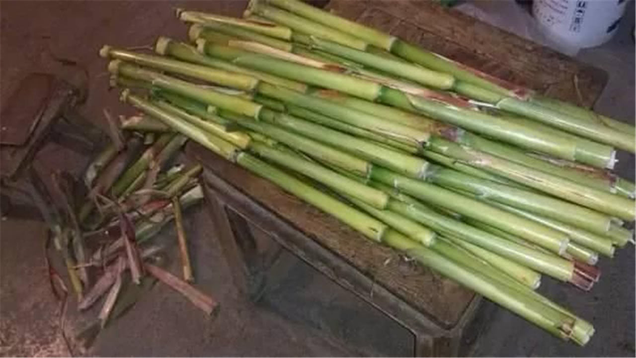 鎶氫粖蹇嗘様,灏忔椂鍊欏悆鐨勯浂椋熺殑鍥炲繂