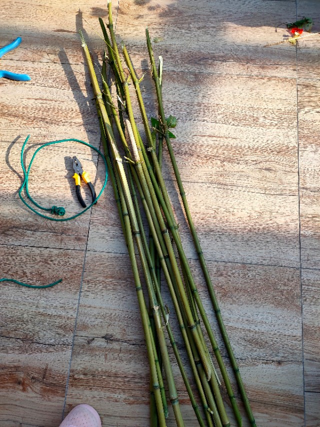 不用木头自制花架最简单的方法,请教DIY高手如何自制花架