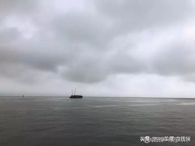 东方园林应如何挽救颓势,东方园林违约案例