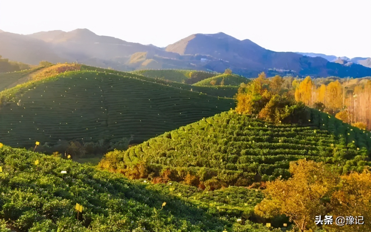 2020河南春晚唐宫夜宴,来河南带你去喝胡辣汤