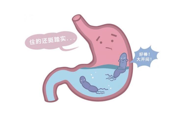 幽门螺杆菌阳性医生说不用治,幽门螺旋杆菌阳性医生说不用治