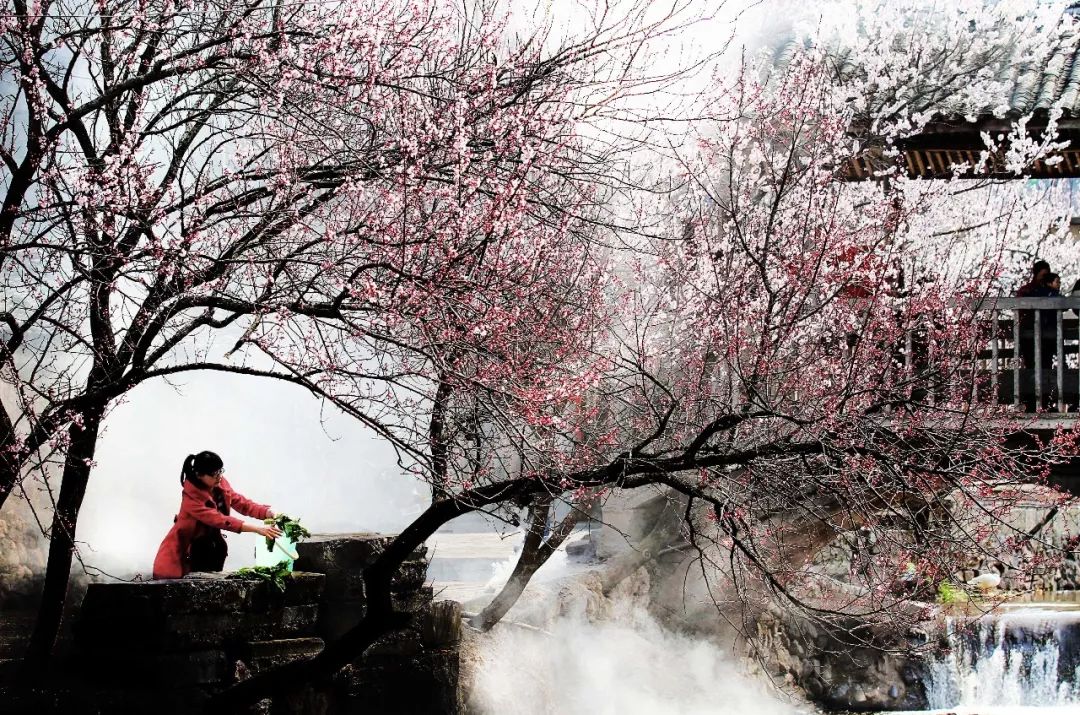 戴口罩的冬天太漫长，差点忘了中国的春天有多美