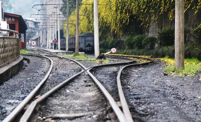 太美了开往春天的列车,这些开往春天的列车简直美呆了