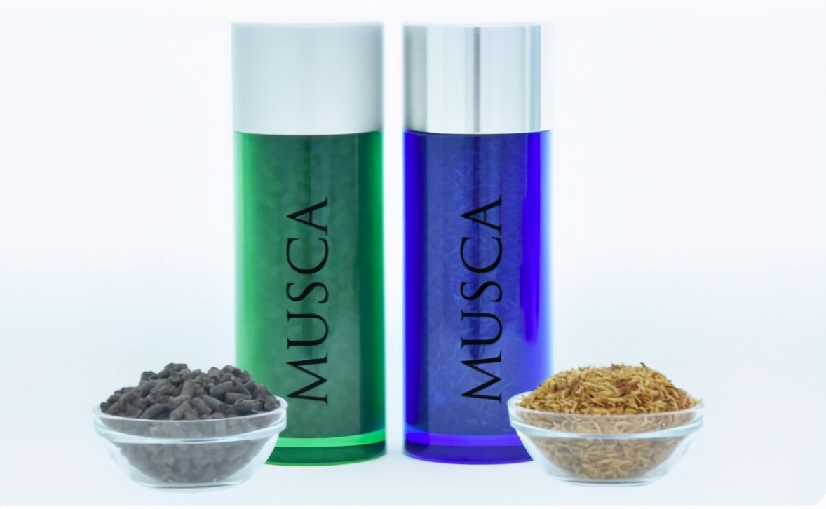 苍蝇灭绝对地球有害吗,苍蝇在世界上的意义