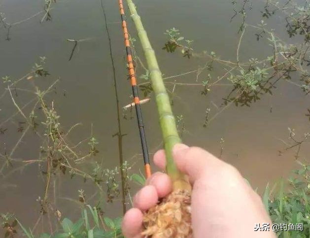 大品牌的鱼竿真的好很多吗,抖音卖大牌鱼竿怎么那么便宜