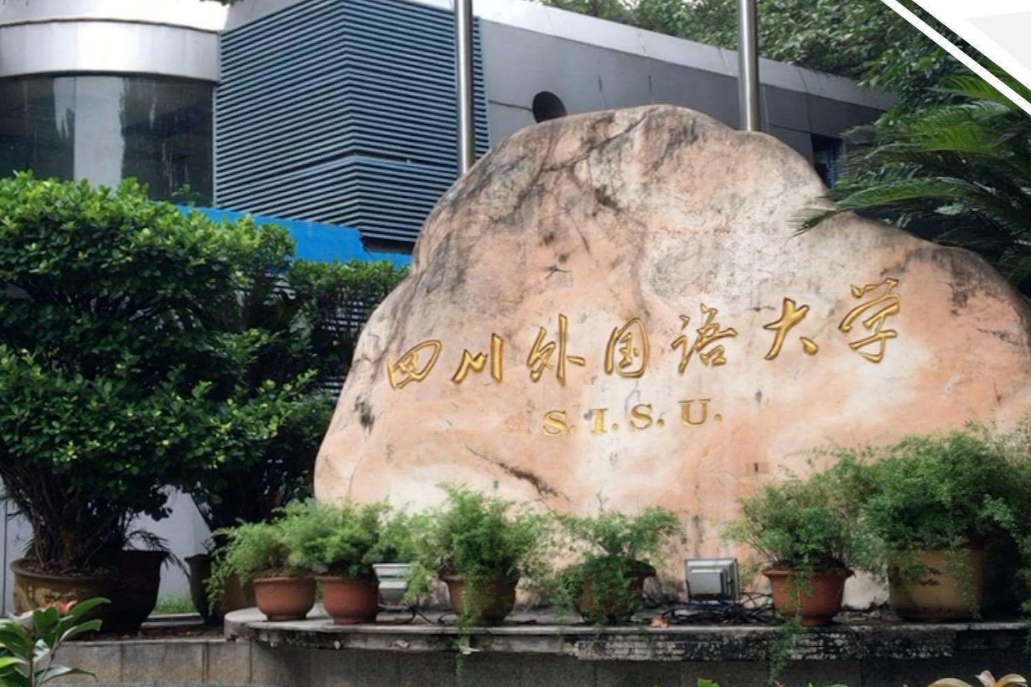 这5所外国语大学实力强大，就业便利，主要分数不高，极具性价比