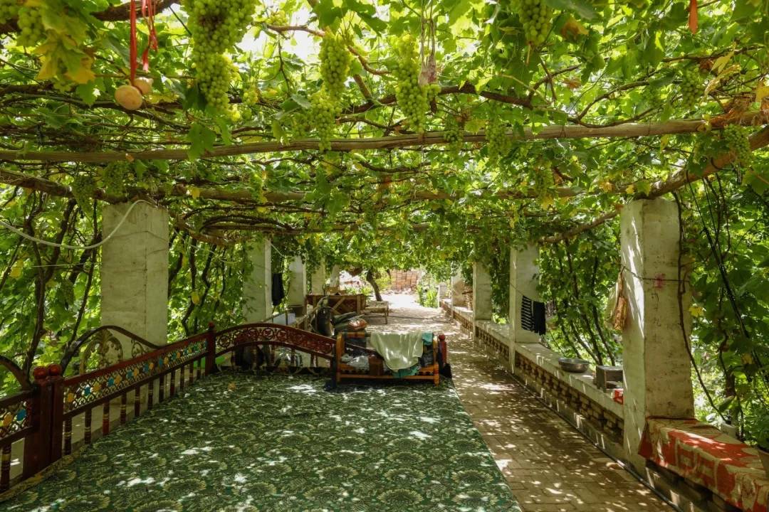 疫情为什么那么多地方管控,疫情肆意泛滥什么意思