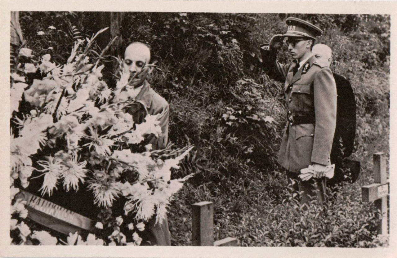 帅炸天，独宠不育王后33年，比利时“鲜肉”国王太苏了吧