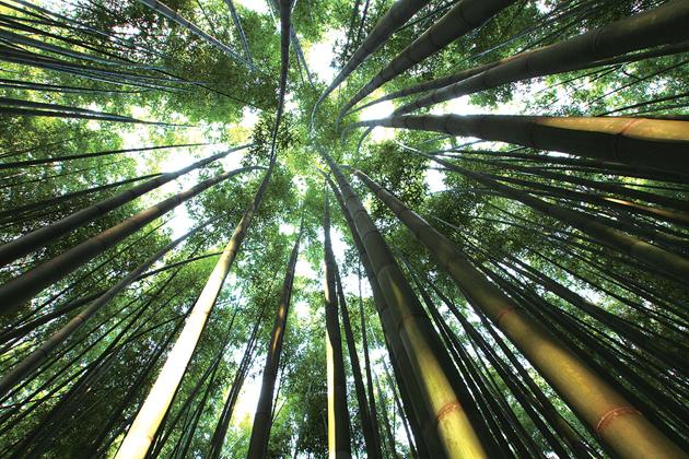 负离子治糖尿病是真的吗,氢负离子治疗糖尿病