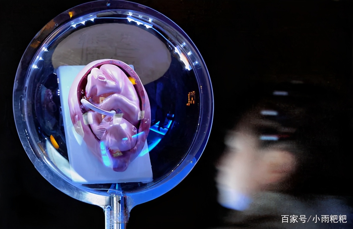 最新款的避孕环,新型避孕环有哪些