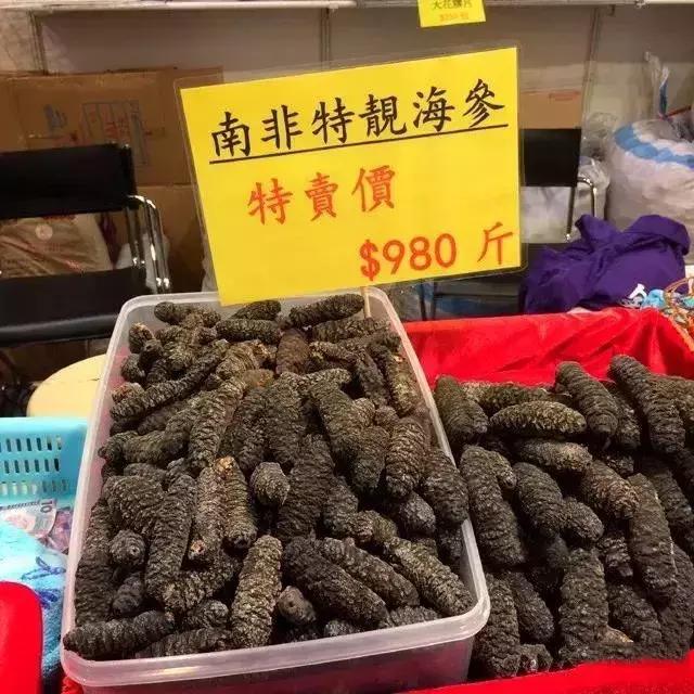 海参界最好的海参,海参物种科普