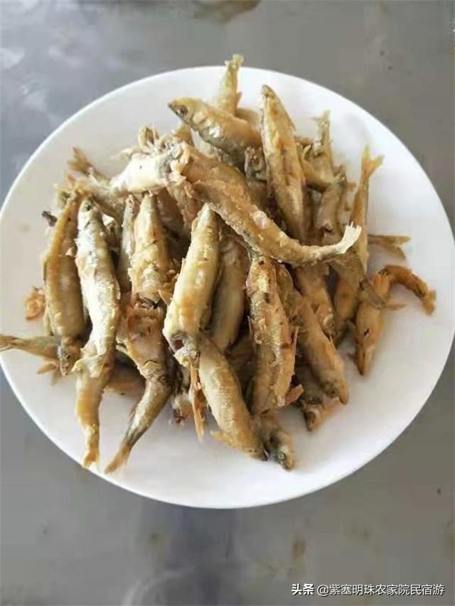 遵化有山有水的农家院,遵化美丽农家院