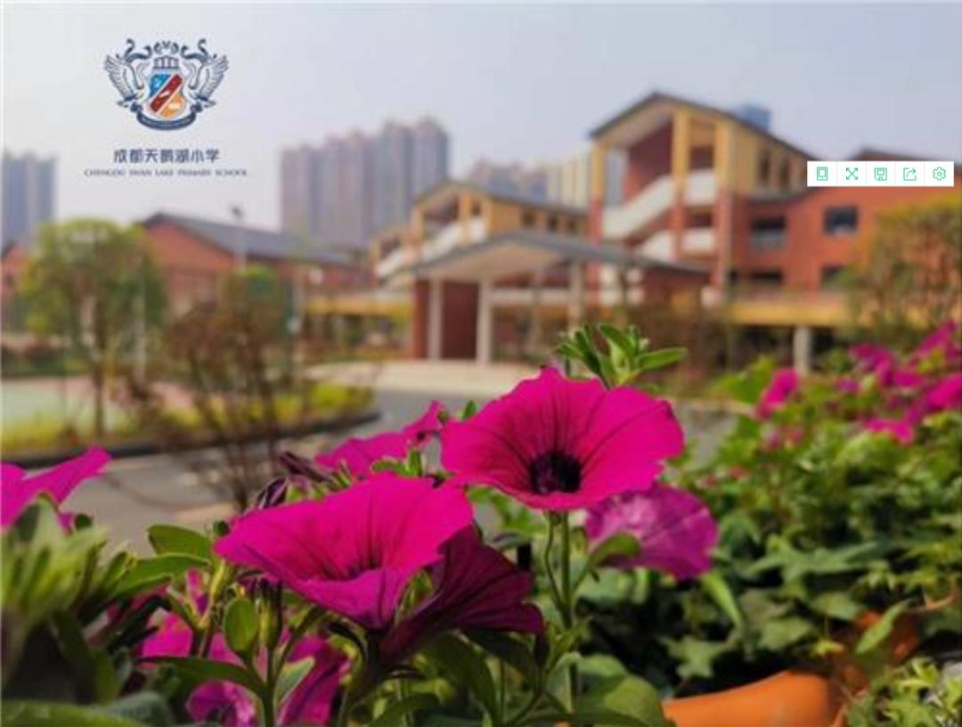 成都龙泉最好的私立小学,成都龙泉最好的小学