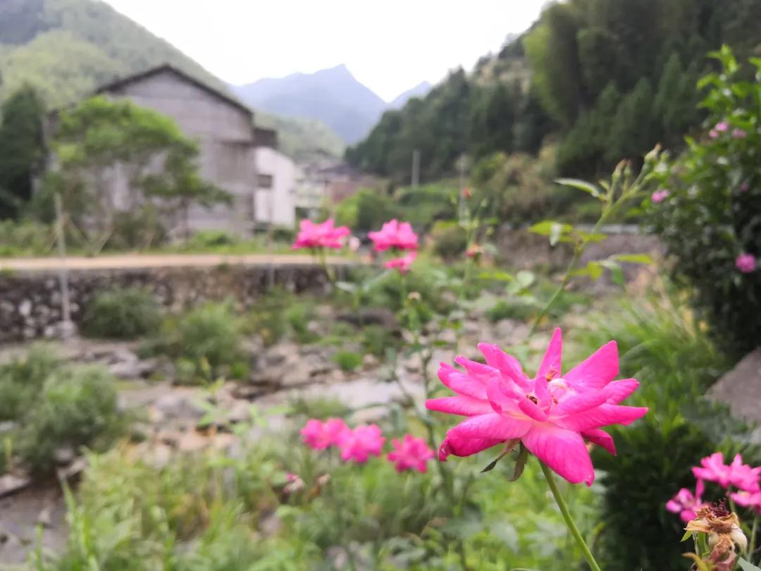我要去旅行英文,我要去旅行完整版