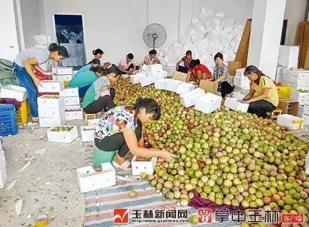 广西有哪些淘宝村,广西五个淘宝村