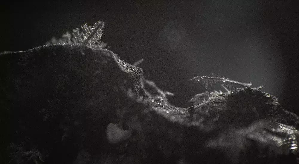 太强了！她笔下的「神秘画风」真是惊艳！