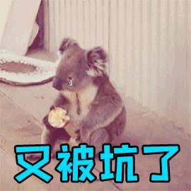 去国外当志愿者的条件,去海外哪里做志愿者